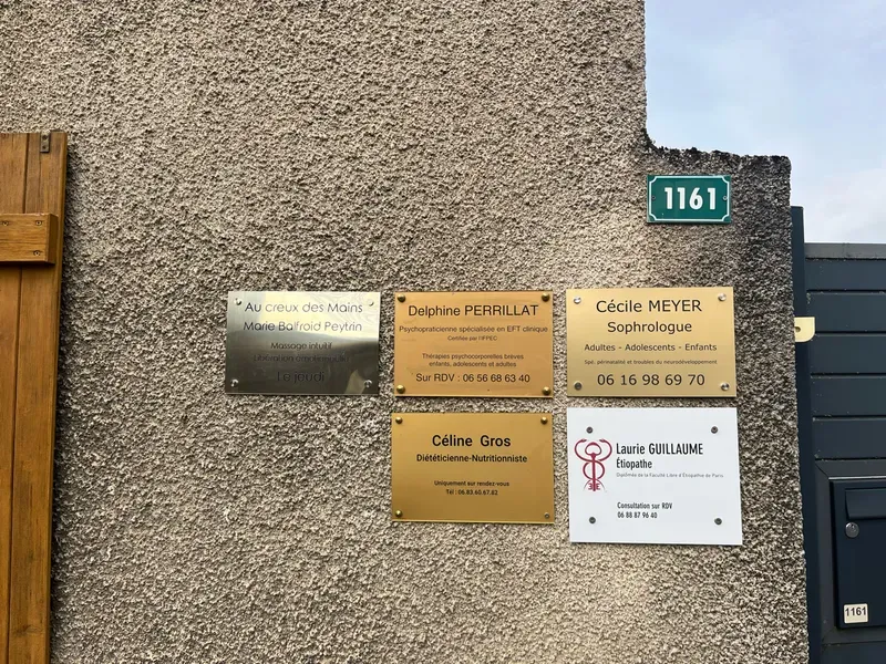 Image 2 de Delphine Perrillat-Amédée