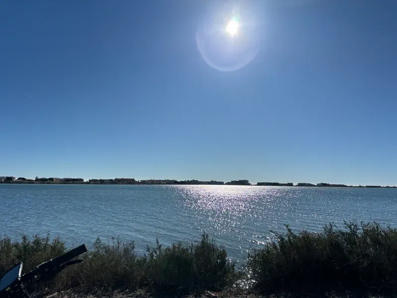 Image 3 de Michèle Vielfaure-Chapuis