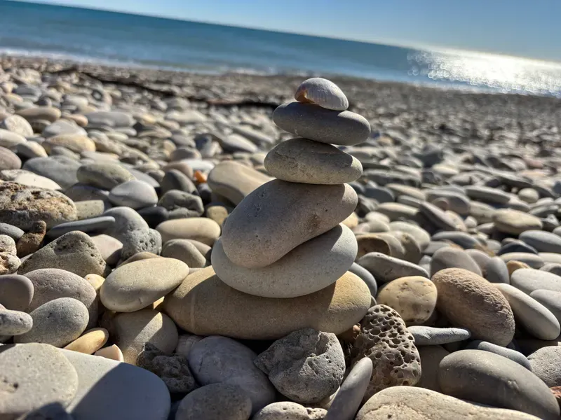 Image 4 de Michèle Vielfaure-Chapuis