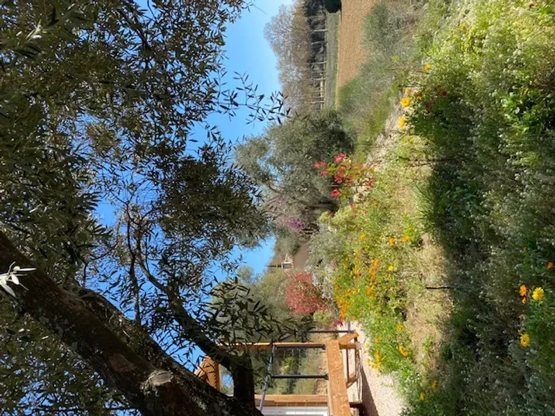 Image 2 de Céline Basset