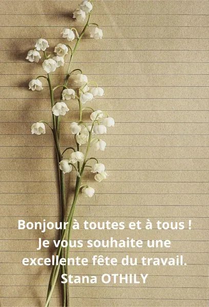 Image 6 de Stana OTHILY