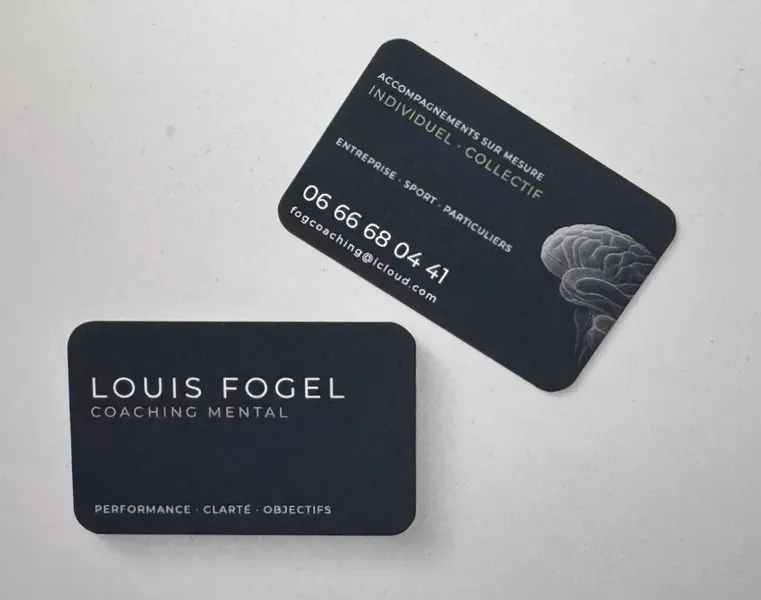 Image 1 de Louis Fogel