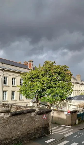 Image 2 de Celine PASQUET VIT