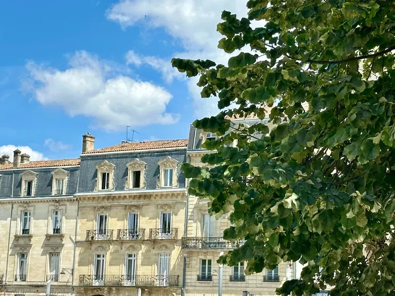 Image 4 de Margot AUDRIN