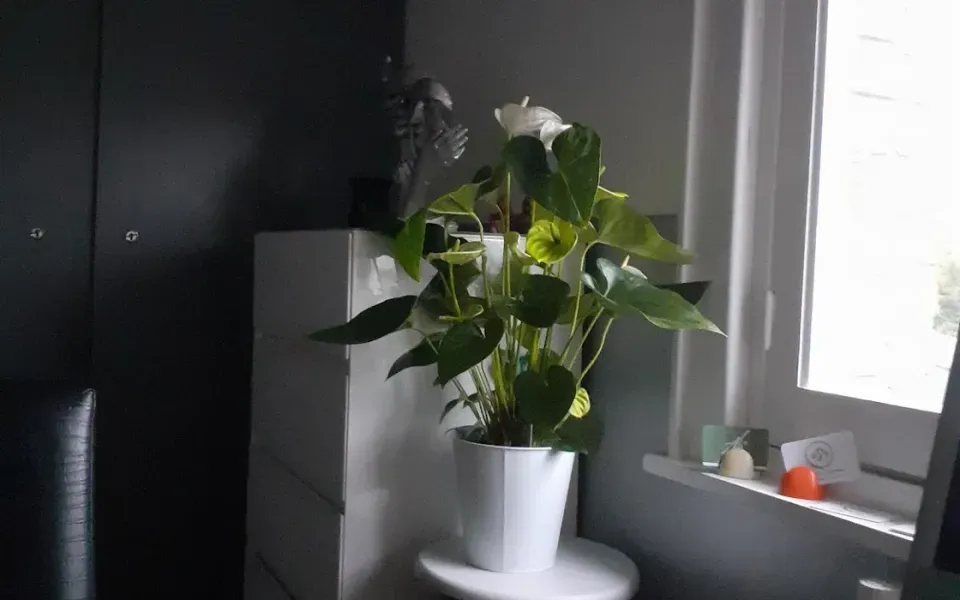 Image 4 de Adeline KAMENI