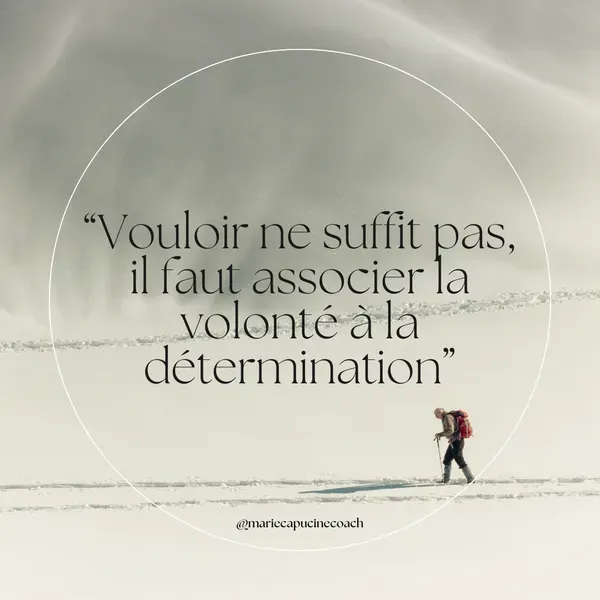 Image 5 de Marie-Capucine Carles